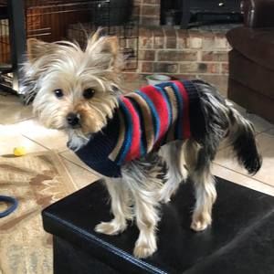 Meet your Posher, Deborah